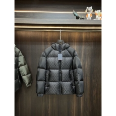 Louis Vuitton Down Jackets